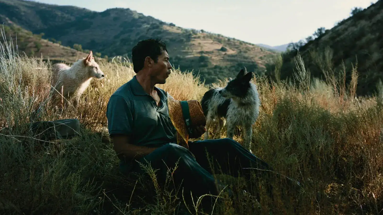 Hiroshima Espiritual - David Mendizábal DP