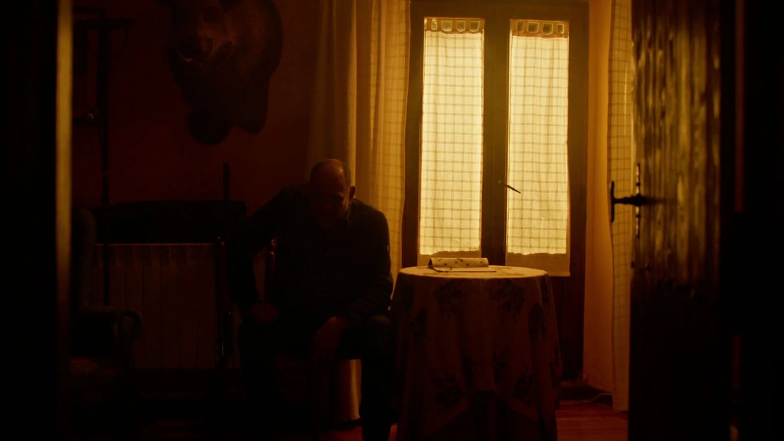 Yegua - David Mendizábal DP