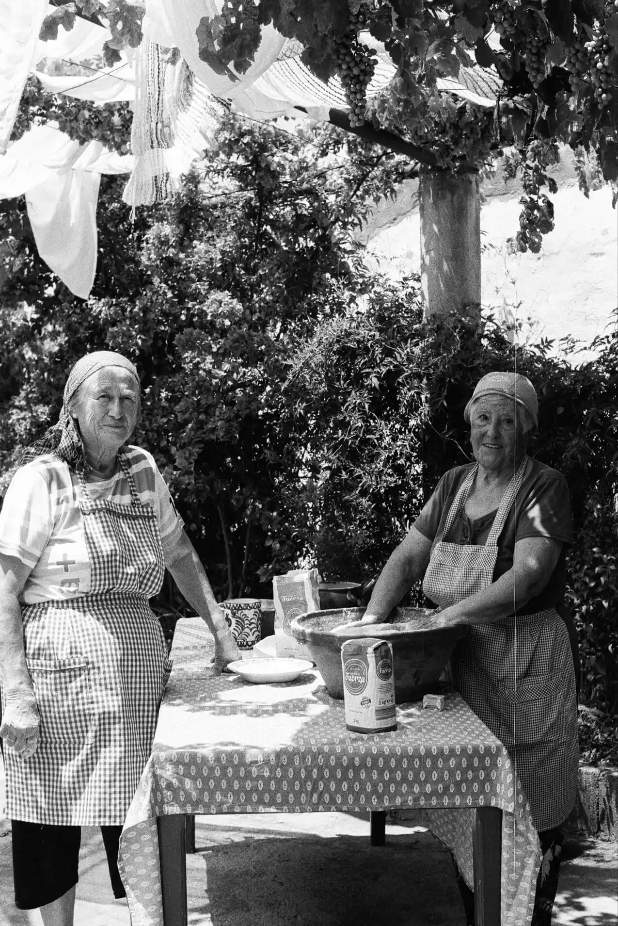 Photo by David Mendizábal