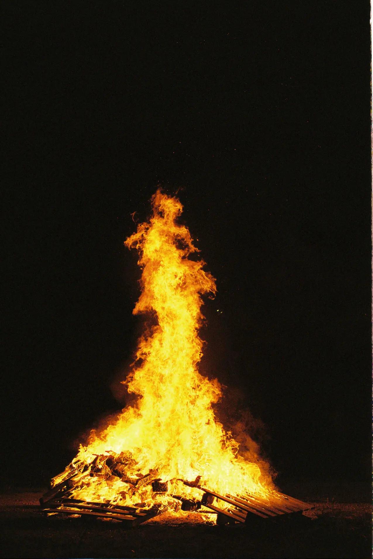 Photo by David Mendizábal