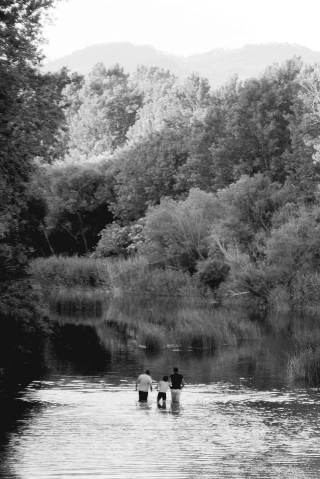 Photo by David Mendizábal