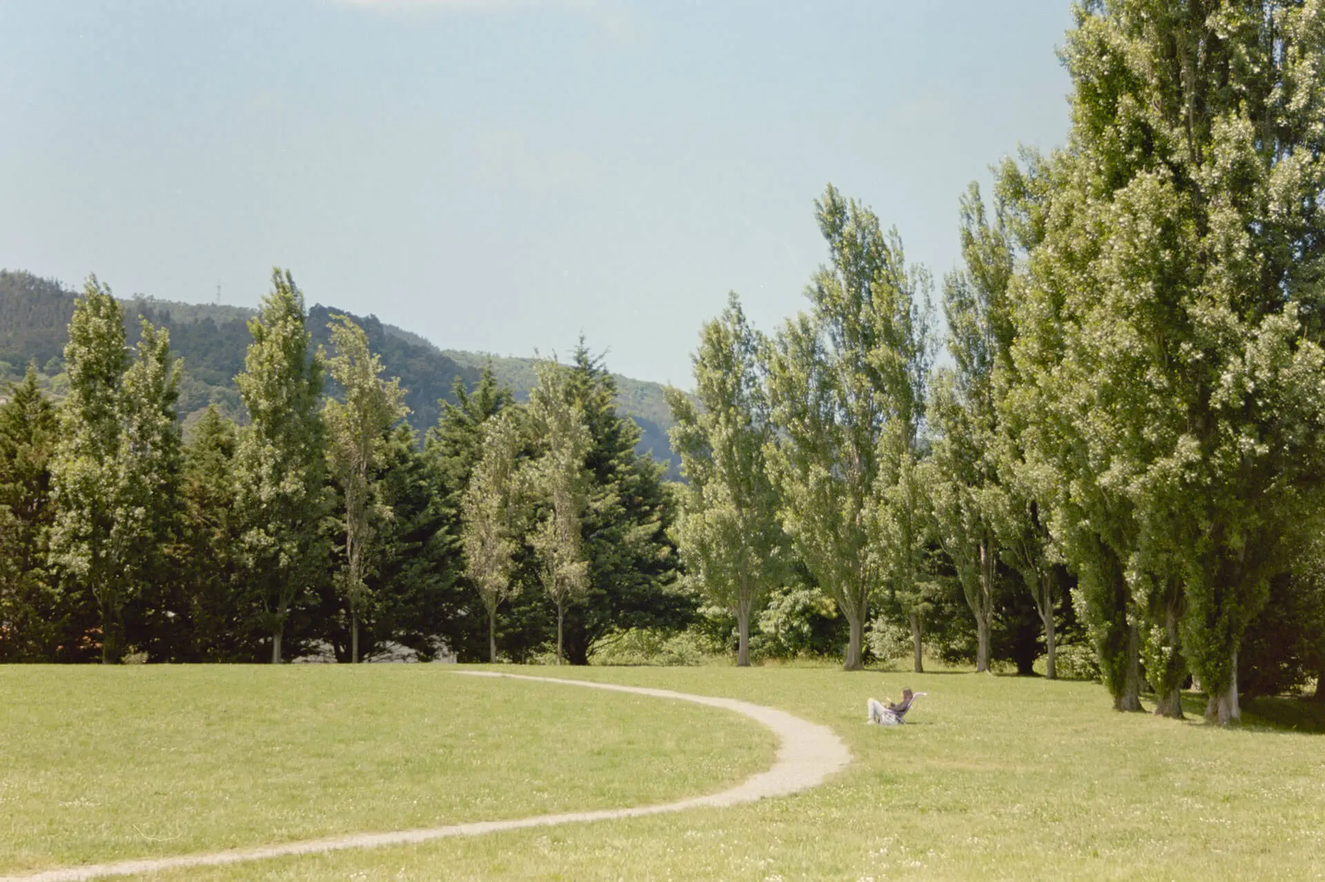 Photo by David Mendizábal