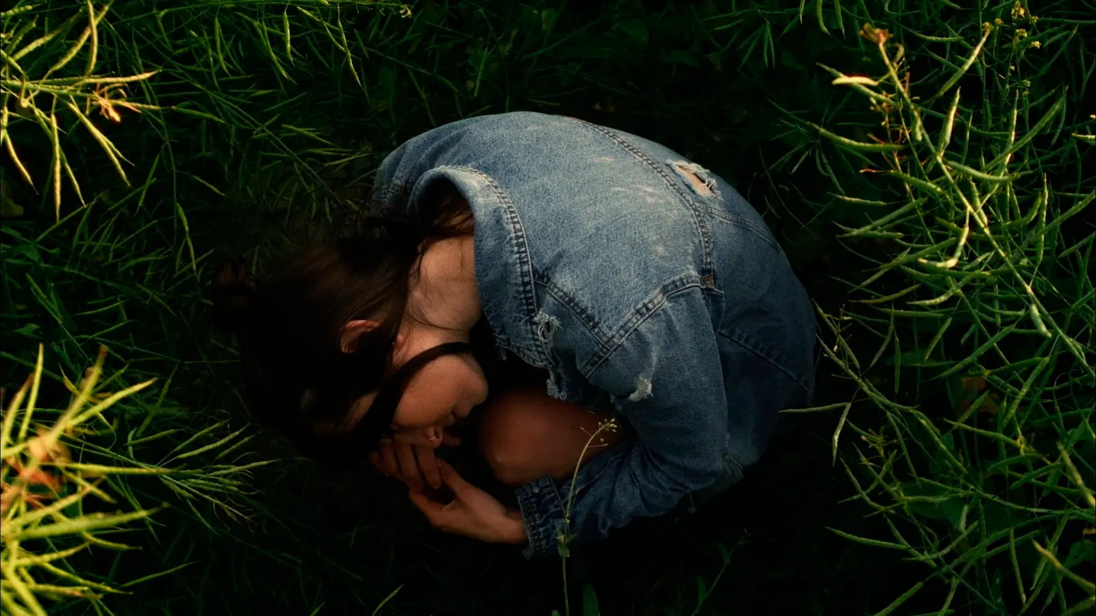 Still de Euriaren Kolorea – Lilo - David Mendizábal DP