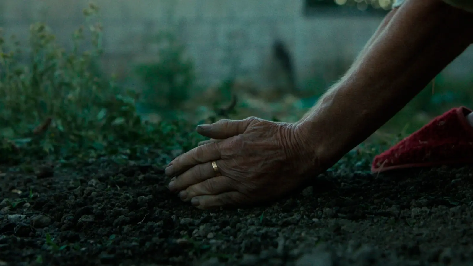 Still de Tierra Húmeda - David Mendizábal